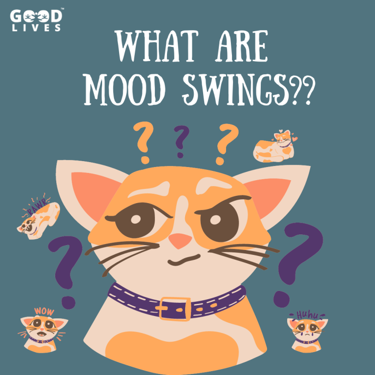 What are Mood Swings | Instantly Understand 5 Causes