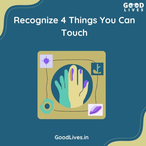 Recognize 4 Things You Can Touch Recognize 4 Things You Can Touch